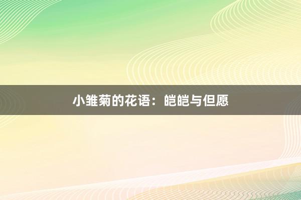 小雏菊的花语:皑皑与但愿