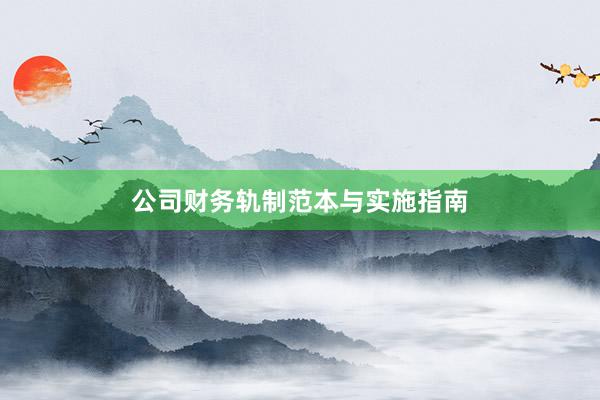 公司财务轨制范本与实施指南