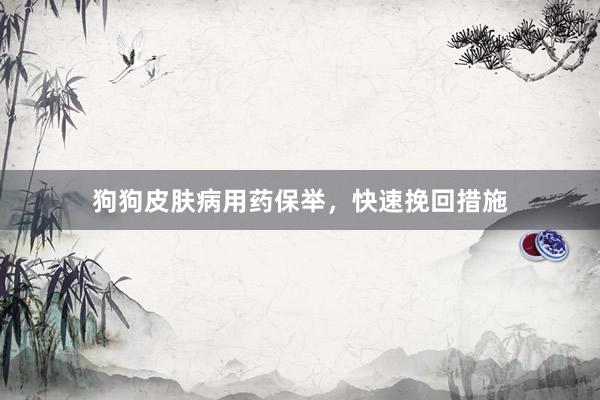 狗狗皮肤病用药保举，快速挽回措施