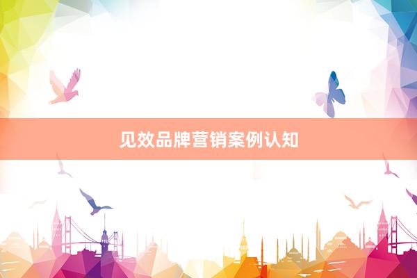 见效品牌营销案例认知